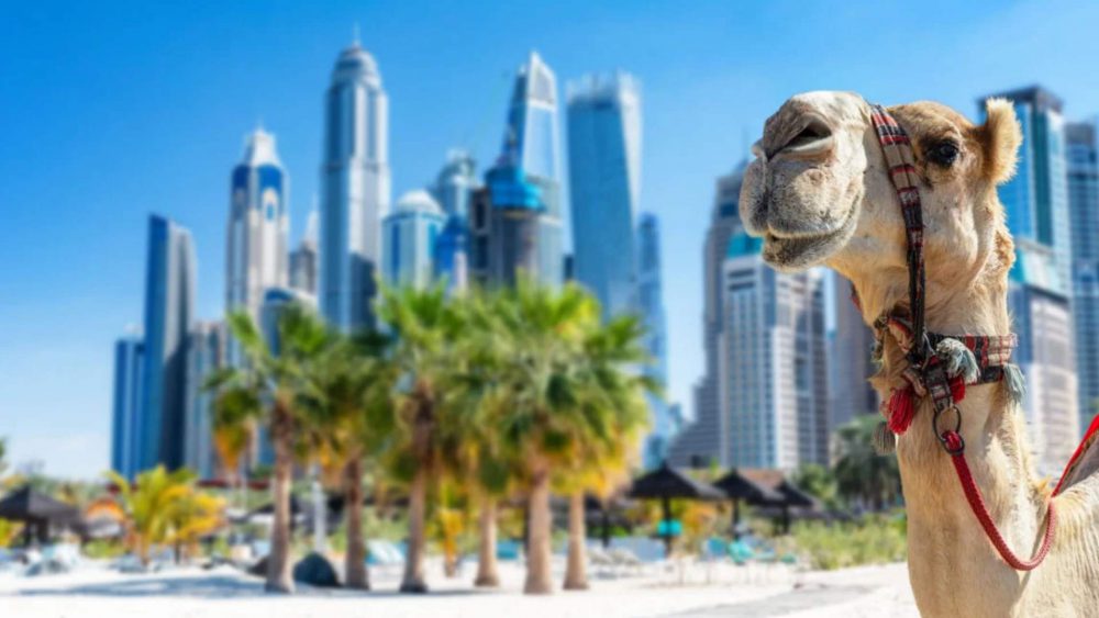 بهترین بیمه مسافرتی برای دبی را از کجا بگیریم؟